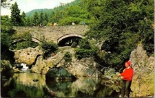 Pont Y Pair Betws Y Coed Unied Kingdom Bridge Scenic Fisherman Chrome Postcard