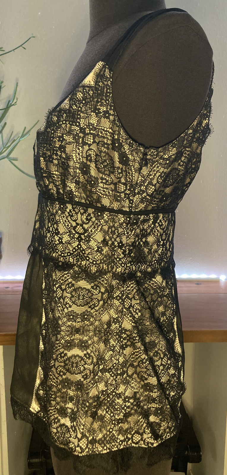 Picture 3 of 12