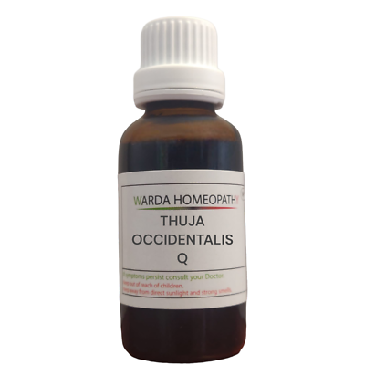 Thuja Occidentalis Q in 10ML & 30ML Homeopathy Herbal Mother Tincture  Liquid | eBay