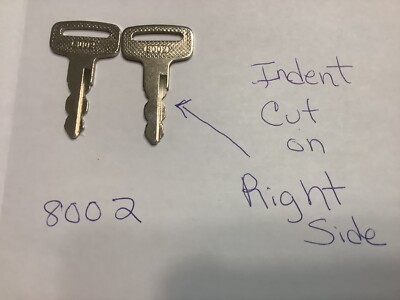 GET 2  (TWO)  8002 GOLF CART KEYS  #60 Yamaha Golf Cart PTV 2010 Keys Code 8002