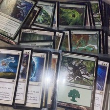 MTG - Complete Sleeved Savage Auras Deck - Planechase No Planes