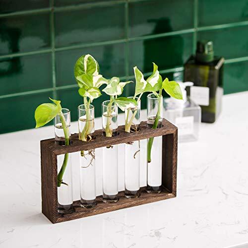 Wandbehang Glas Pflanzgefäß Pflanze Terrarium modern Blumen Knospe Vase mittelbraun - Bild 3 von 8