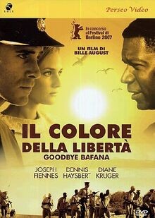 Il colore della liberta von CECCHI GORI E.E. HOME V... | DVD | Zustand sehr gut