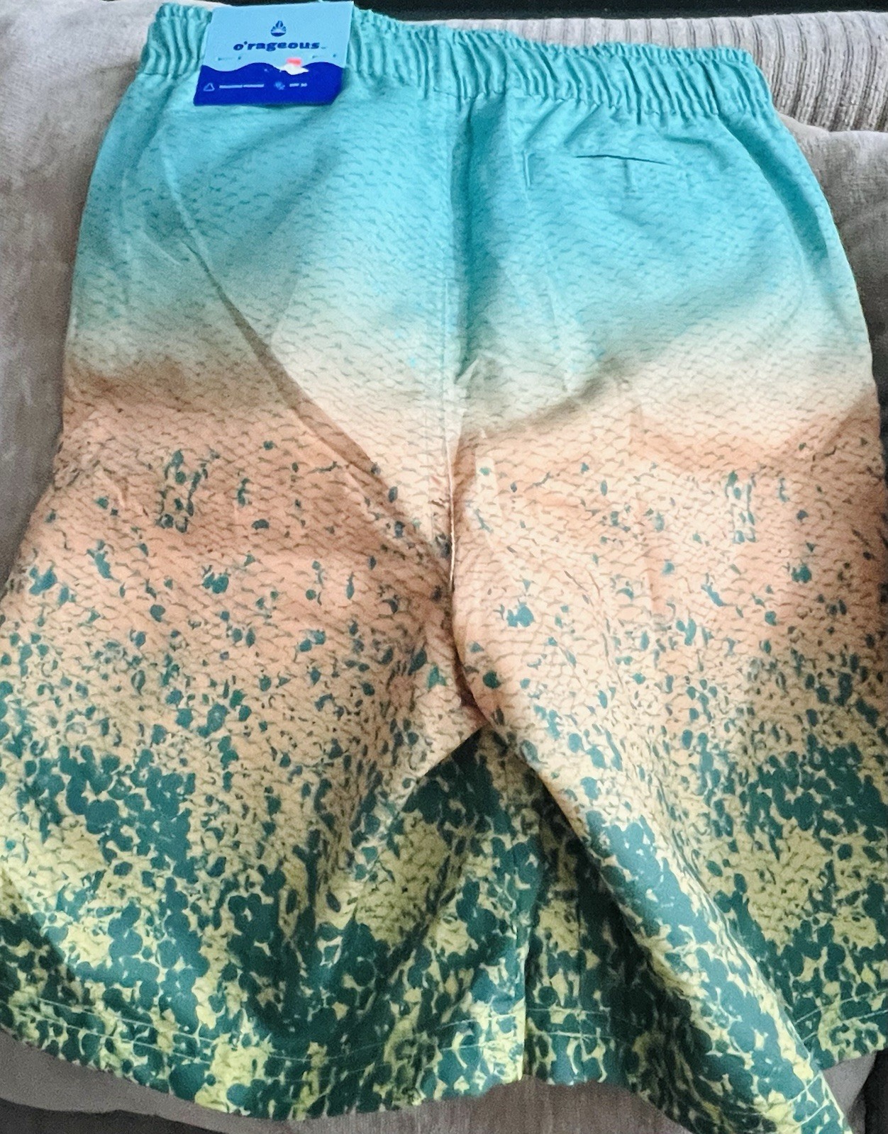 Picture 5 of 11