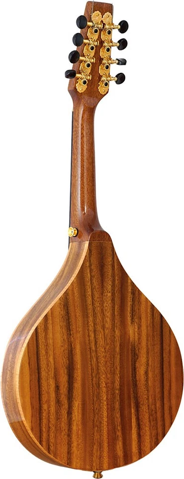 Mandolina con tapa de cedro macizo Ashbury Lindisfarne, en Hobgoblin Music Foto 2 de 3