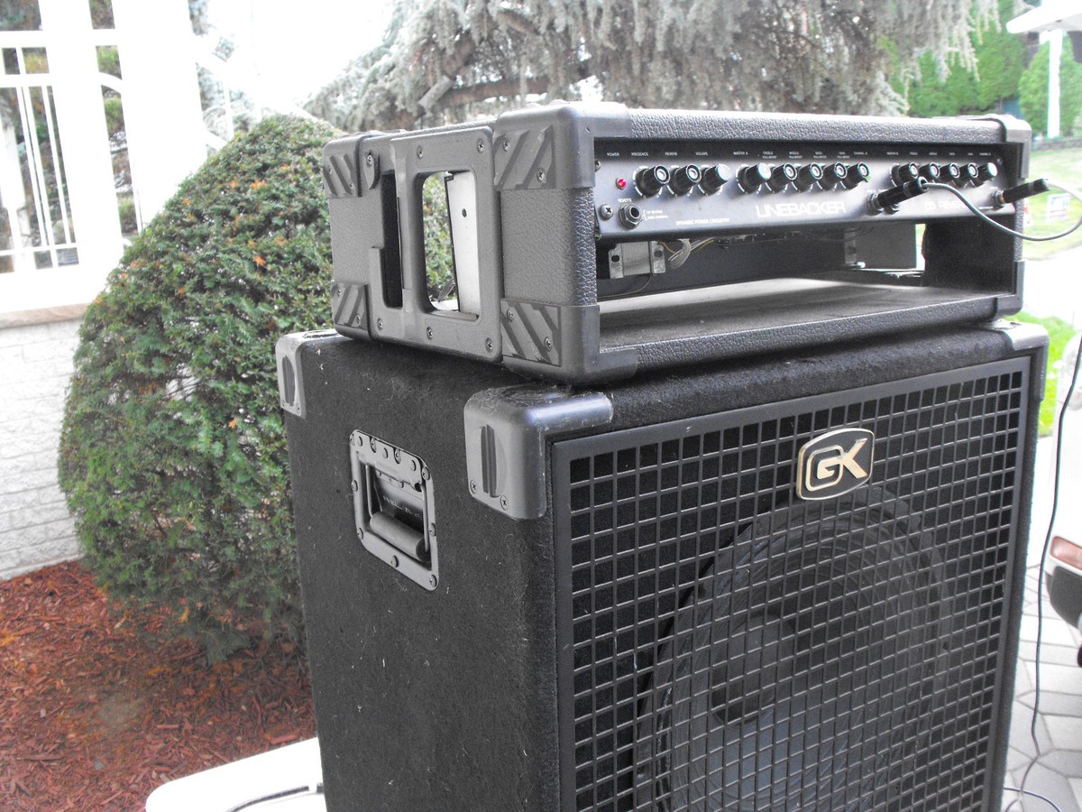 Gallien-Krueger 1x15 Speaker Cabinet and 65 watts Boss Linebacker