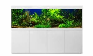 Friedeberg Aquarium  Kombination Felix 200x60x70  eBay