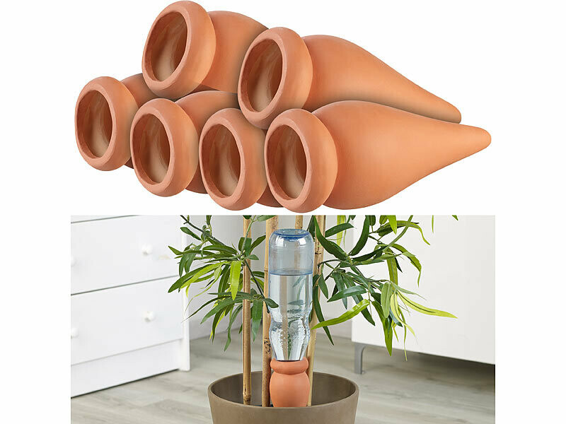 6 Doseurs D'eau Pour Plantes En Pot - Royal Gardineer