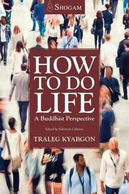 How To Do Life by Traleg Kyabgon Rinpoche IX PAPERBACK 9781764197908