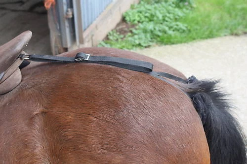 CRUPPER Web Correra Silla Dee to Tail Mini Pony Cob F/S Colores Shetland - Imagen 23 de 63