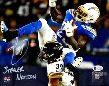 Pittsburgh Steelers Collecting and Fan Guide 91