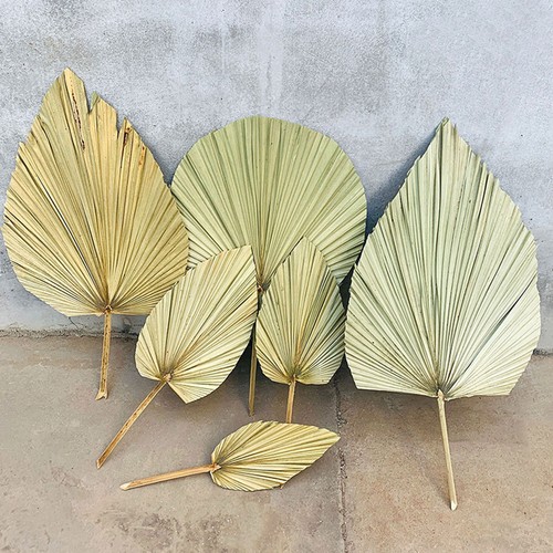 Dried Palm Fans Woven Fan Bridal Bouquet Handheld Cooling Fan - Picture 5 of 21