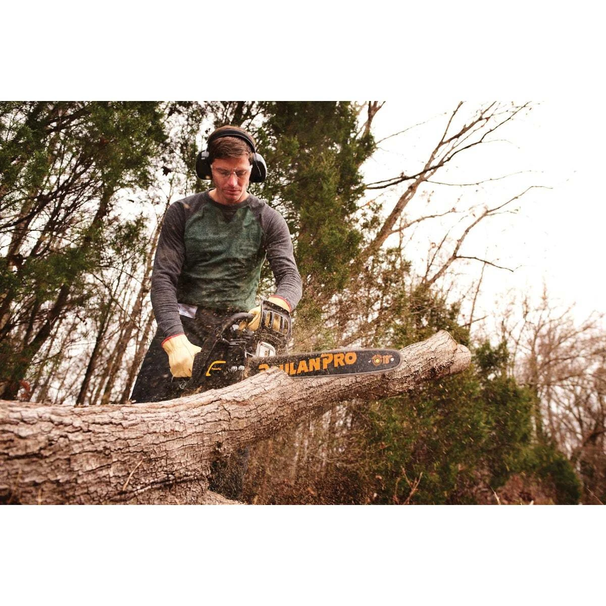 Poulan pro 42 deals chainsaw