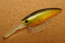 Angler's Republic Shape Labo TTM Shad 60 SP       (P464J3  anres