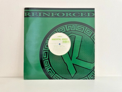 Immortal Minds   The City 3 / Cosmic Jungle 12  Drum & Bass Jungle Vinyl 1995