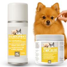 Erste Hilfe Set Hund – Silberspray + Zinksalbe – Hautschutz & Wundpflege – 250 +