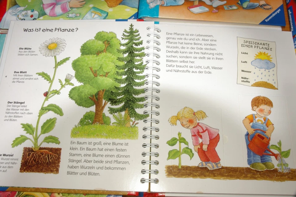 8 Bände Wieso Weshalb Warum Junior 2-4 - Bild 4 von 4