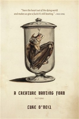A Creature Wanting Form: Fictions (Paperback or Softback)