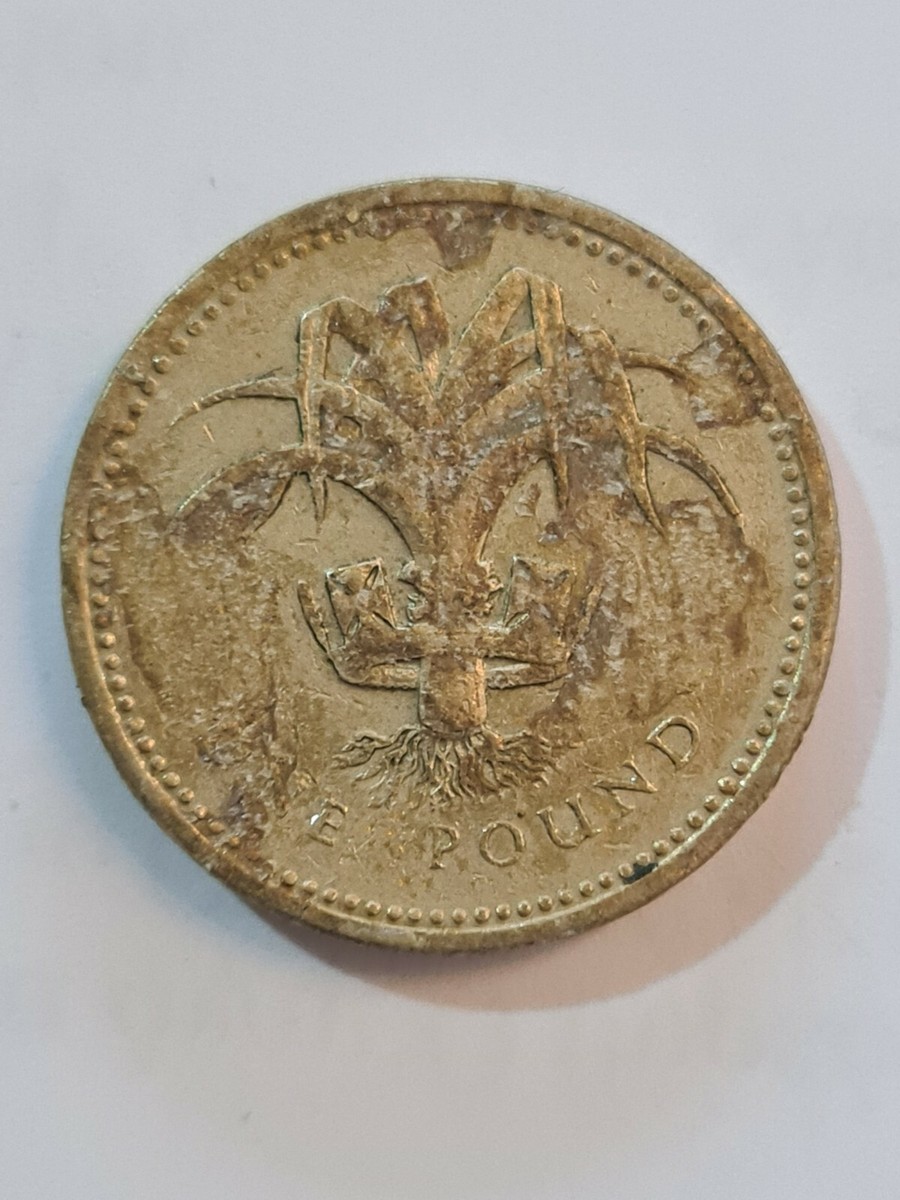Queen Elizabeth - I I D-G-REG-F-D-1985 £1 COIN ALSO KNOWN AS