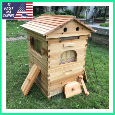 Auto Shed Wooden Beehive Complete Bee Set Honey Bee Hives 7 Beekeeping Frames US