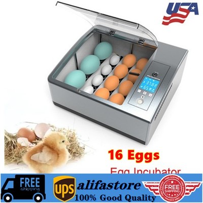  16 Eggs Egg Incubator for Hatching Egg Full Automatic Turning Duck Chicken Egg