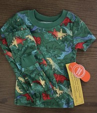 Toddler Boys Green Dinosaur Lightweight Pj Set Short Sleeve Long Pants Size 18M