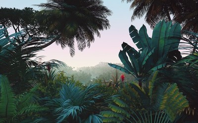 Fototapete KOMAR, Le Jardin, Jungle Morning, 8 Teile, BxH 400 x 250 cm