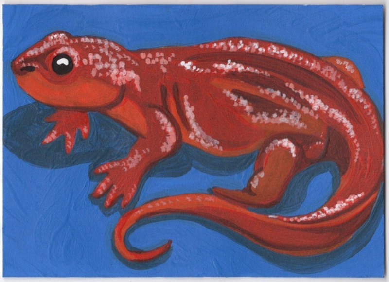 ACEO Original Painting Newt Lizard Orange Blue Remarque Pop Art by Lpothanart