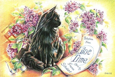 Ansichtskarte -: Katze, Joanne Bond, Fliederzeit [Ph-Themen]