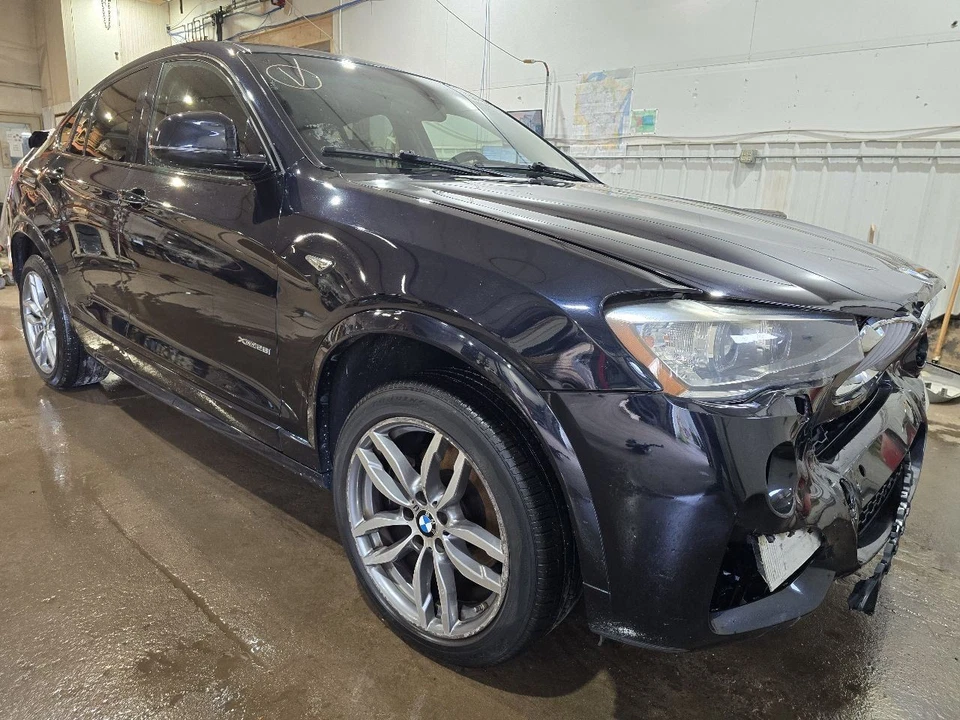 Passenger Quarter Glass Privacy Tint Fits 15-18 BMW X4 636749 Foto 2 de 4