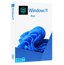 Microsoft Windows 11 Pro Aktivierungsschl ssel Ebay/E-Mail Key