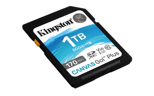 Kingston Canvas Go Plus 1TB microSD Card 170MBs U3 V30 4K UHD Durable Memory - Picture 2 of 6