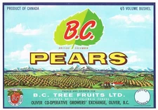 ORIGINAL PEAR CRATE LABEL CANADA BRITISH COLUMBIA 1950S B.C. OLIVER KELOWNA  BC