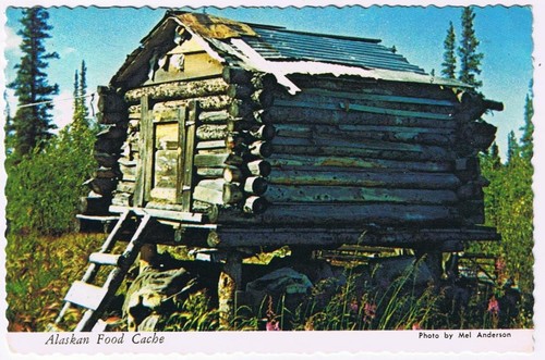 Alaska Postcard Food Cache Protects Food From Animals | eBay
