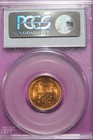 1947 D PCGS  1C MS66RD LINCOLN WHEAT CENT #B51648 — photo 2