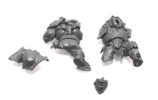 Warhammer Age of Sigmar Orruk Warclans Ironjaws 'Ardboy Body F