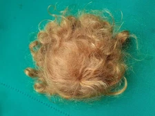 Perruque KEMPER  ancienne en mohair pr  petite poupée      (17 cm)  no Bleuette