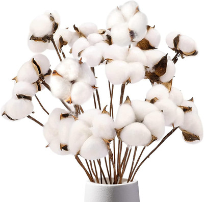 Cotton Stems 8 Packs with 15 Bolls, Natural Dried Flowers Cotton Sprigs for Vase