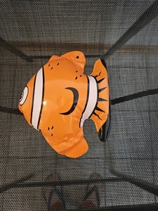 Blow Up Fish Inflatable Fish Toy