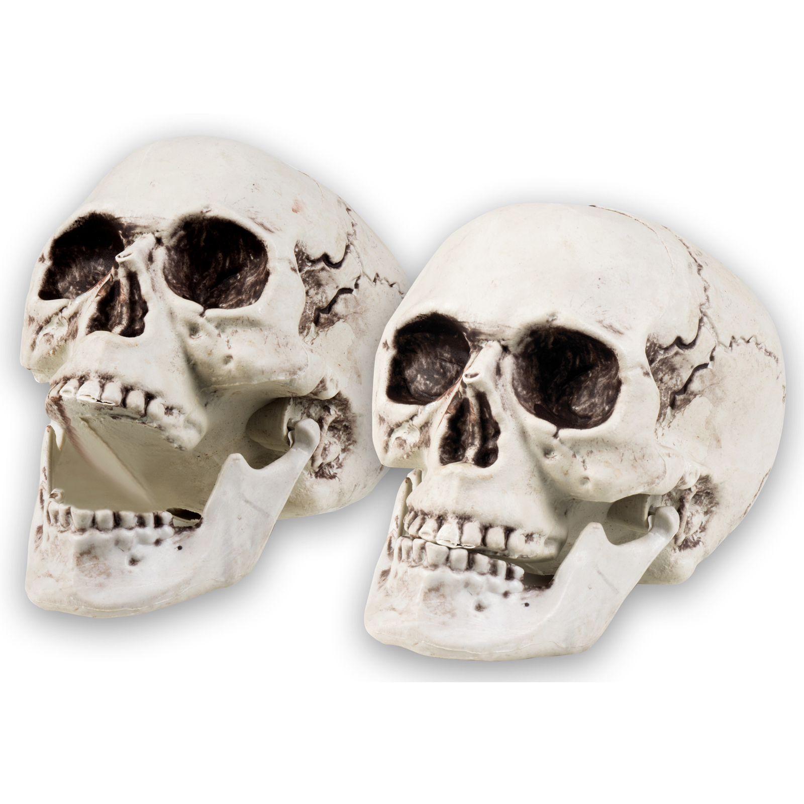 Ciao Teschio Decorazione Skull Maxilla 20X15 cm Con Mandibola Apribile Halloween