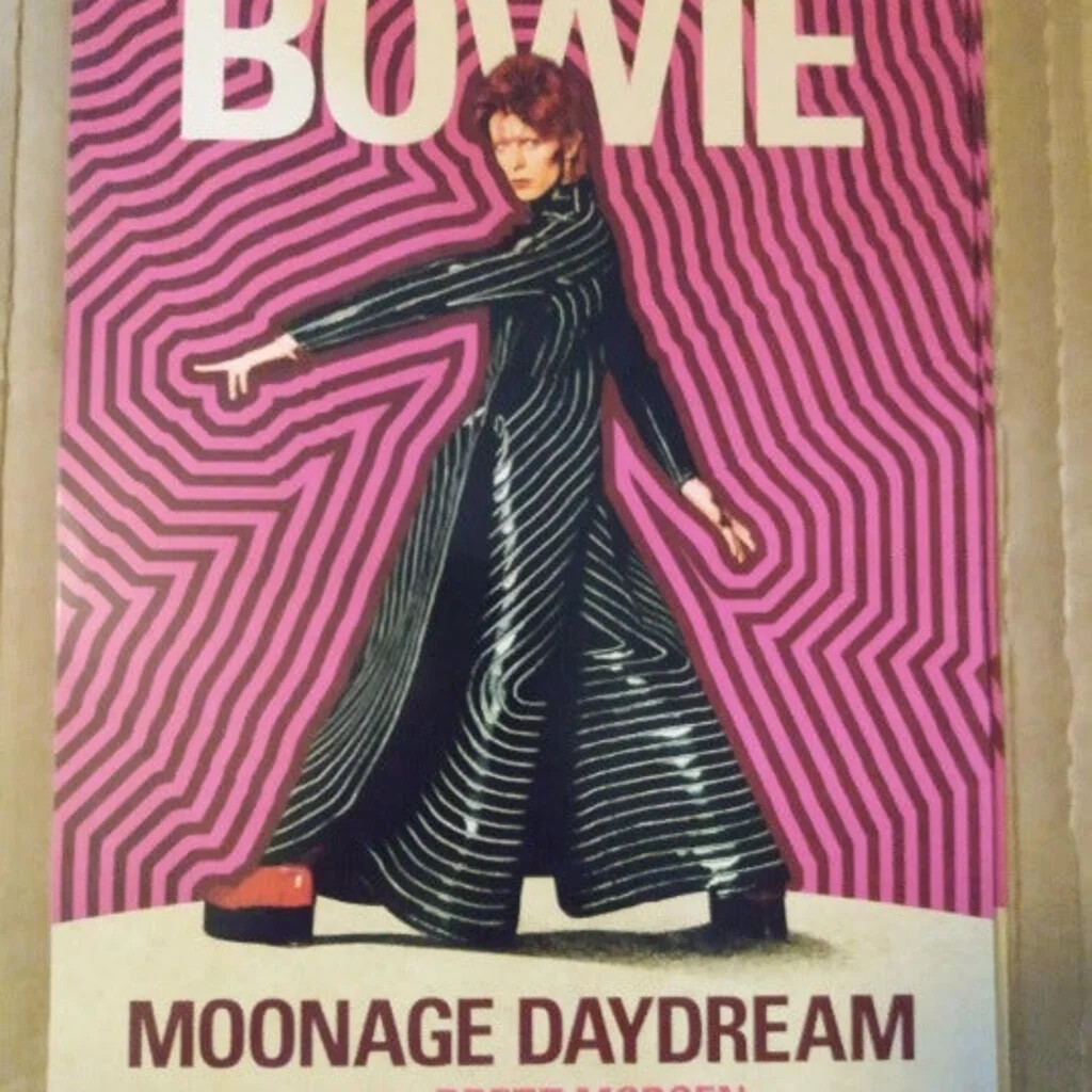 Moonage Daydream 2022 Movie Promo Poster David Bowie, NEW | eBay