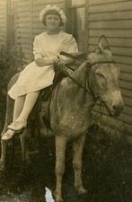 YOUNG GIRL ON MULE. PHOTO POST CARD, 3 SET.