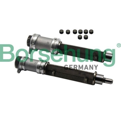 1X Arretierdorn, Ausgleichswelle Borsehung B19131 Passend FüR Audi Seat Skoda-image