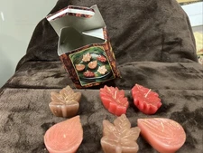 Floating Candles Fall Maple leaves Thanksgiving Set Of 6 Autumn Leafs Candles