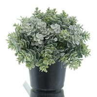 Gasper Weihnachtsdeko Eukalyptuskugel Beschneit Im Topf Ø 13 Cm - Kunstpflanzen