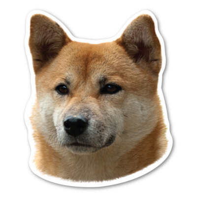 Shiba Inu Magnet