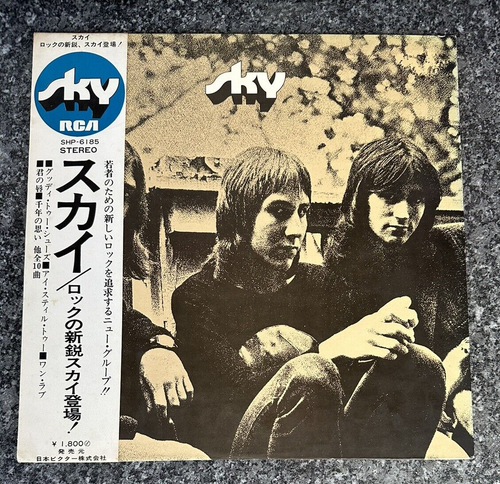 SKY DON'T HOLD BACK ULTRA RARE 1970 ORIGINAL JAPANESE 1ST PRESS OBI SHP-6185 - Afbeelding 2 van 10