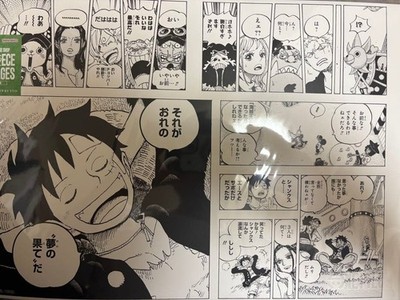 One Piece Luffy All Pages Egghead B4 Exclusive Art Print New