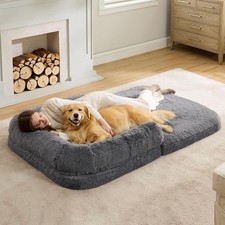Human Dog Bed for Adult, 2 in 1 Foldable Giant Dog Bed for People Fits Pet