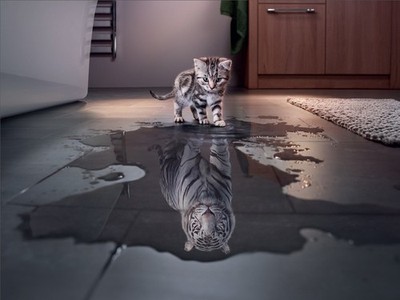 Kätzchen sieht Tiger Reflexion Wandbild - Inspirierend Katze Poster Motivation De